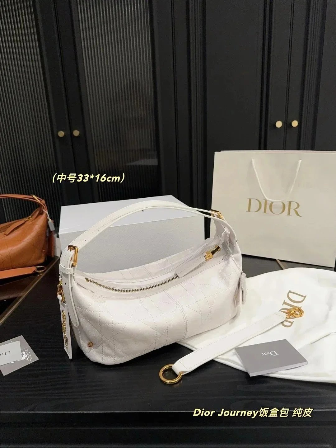 Dior Bag